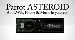 Parrot Asteroid